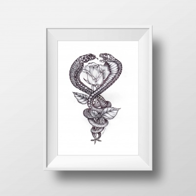 ilustração para tatuagem - illustra - for - tattoo - cobras e rosa
