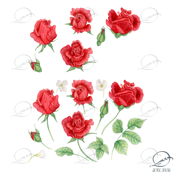elementos decorativos para download - rosas vermelhas